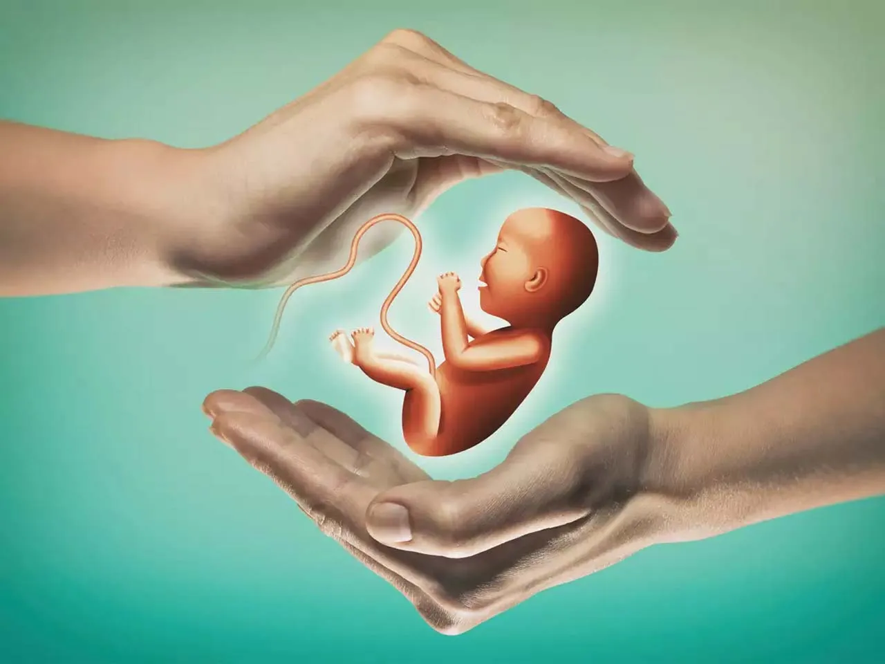 Fertility & IVF